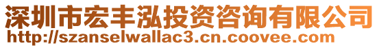 深圳市宏豐泓投資咨詢有限公司