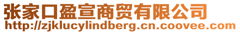張家口盈宣商貿有限公司