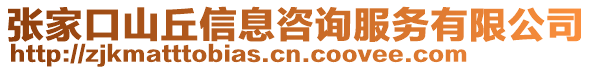 張家口山丘信息咨詢服務(wù)有限公司