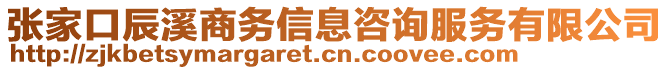 張家口辰溪商務(wù)信息咨詢服務(wù)有限公司