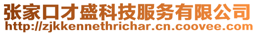 張家口才盛科技服務(wù)有限公司