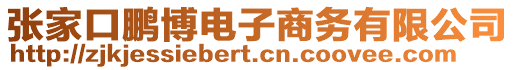 張家口鵬博電子商務(wù)有限公司