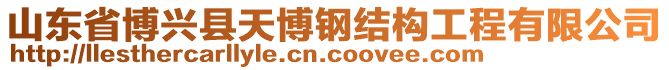 山東省博興縣天博鋼結(jié)構(gòu)工程有限公司