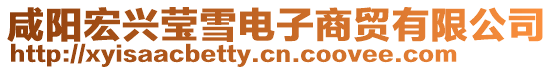 咸陽宏興瑩雪電子商貿有限公司