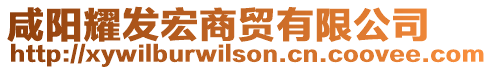 咸陽(yáng)耀發(fā)宏商貿(mào)有限公司