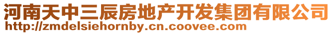 河南天中三辰房地產(chǎn)開發(fā)集團(tuán)有限公司