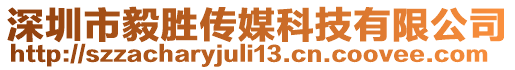 深圳市毅勝傳媒科技有限公司