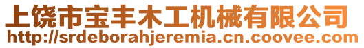 上饒市寶豐木工機(jī)械有限公司