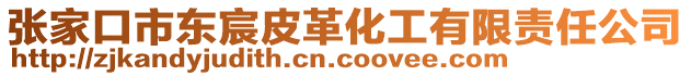 張家口市東宸皮革化工有限責任公司