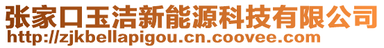 张家口玉洁新能源科技有限公司