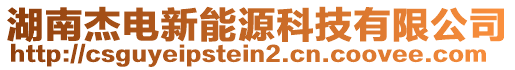湖南杰電新能源科技有限公司
