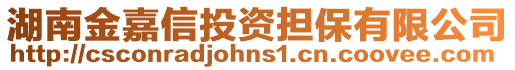 湖南金嘉信投資擔保有限公司