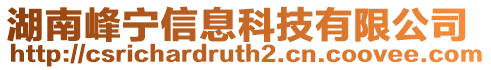 湖南峰寧信息科技有限公司