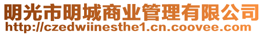 明光市明城商業管理有限公司