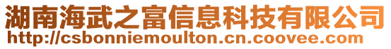 湖南海武之富信息科技有限公司