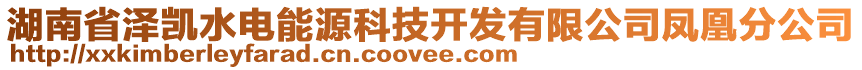 湖南省澤凱水電能源科技開發(fā)有限公司鳳凰分公司