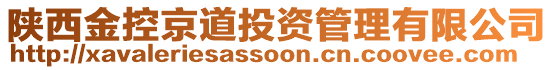 陜西金控京道投資管理有限公司