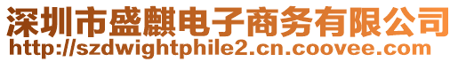 深圳市盛麒電子商務有限公司