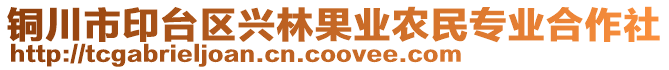 銅川市印臺(tái)區(qū)興林果業(yè)農(nóng)民專(zhuān)業(yè)合作社