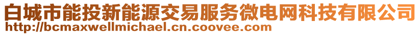 白城市能投新能源交易服務微電網科技有限公司