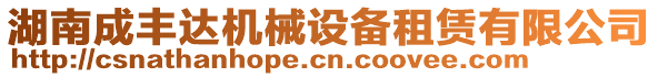 湖南成豐達(dá)機械設(shè)備租賃有限公司