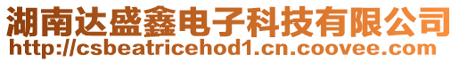 湖南達盛鑫電子科技有限公司