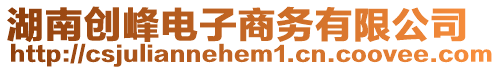 湖南創(chuàng)峰電子商務有限公司