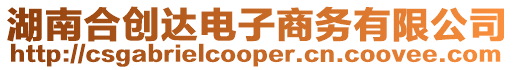 湖南合創達電子商務有限公司