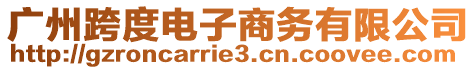 廣州跨度電子商務有限公司