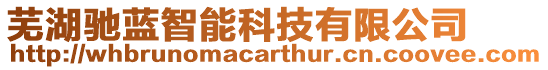 蕪湖馳藍(lán)智能科技有限公司