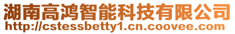 湖南高鴻智能科技有限公司