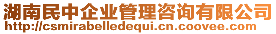 湖南民中企業管理咨詢有限公司