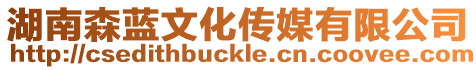 湖南森藍(lán)文化傳媒有限公司