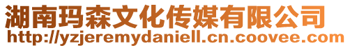 湖南瑪森文化傳媒有限公司