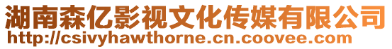 湖南森億影視文化傳媒有限公司