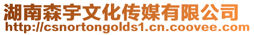湖南森宇文化傳媒有限公司