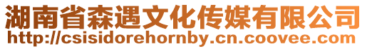 湖南省森遇文化傳媒有限公司