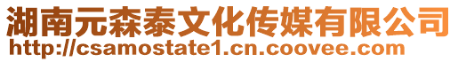 湖南元森泰文化傳媒有限公司
