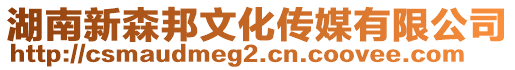 湖南新森邦文化傳媒有限公司