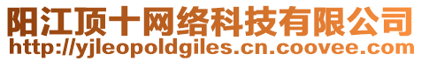 陽江頂十網(wǎng)絡(luò)科技有限公司