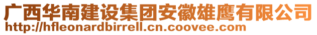 廣西華南建設集團安徽雄鷹有限公司