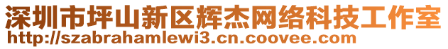 深圳市坪山新區(qū)輝杰網絡科技工作室