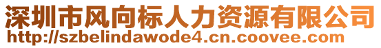 深圳市風(fēng)向標(biāo)人力資源有限公司