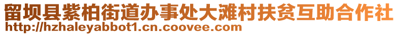 留坝县紫柏街道办事处大滩村扶贫互助合作社