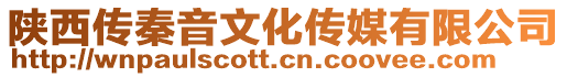 陕西传秦音文化传媒有限公司