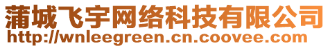 蒲城飞宇网络科技有限公司