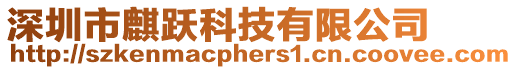 深圳市麒躍科技有限公司