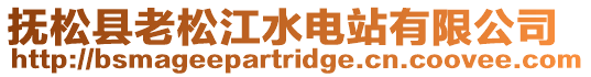 撫松縣老松江水電站有限公司