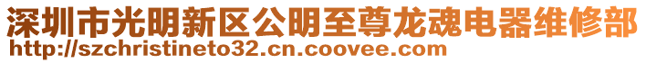 深圳市光明新區(qū)公明至尊龍魂電器維修部