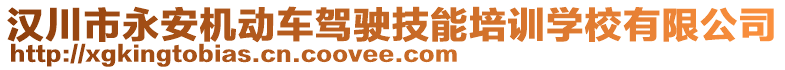 漢川市永安機(jī)動(dòng)車駕駛技能培訓(xùn)學(xué)校有限公司